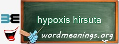 WordMeaning blackboard for hypoxis hirsuta